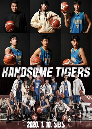 Handsome Tigers cover