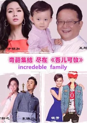 Incredible Family (2017) cover