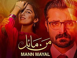 Mann Mayal (2021) cover