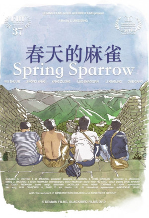 Spring Sparrow cover