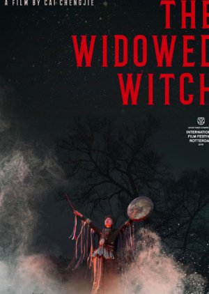 The Widowed Witch cover