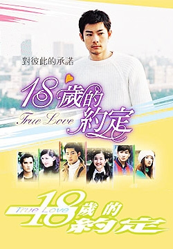 True Love 18 (2002) cover